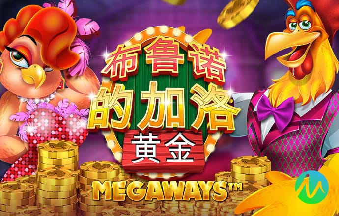 银河优越会galaxy